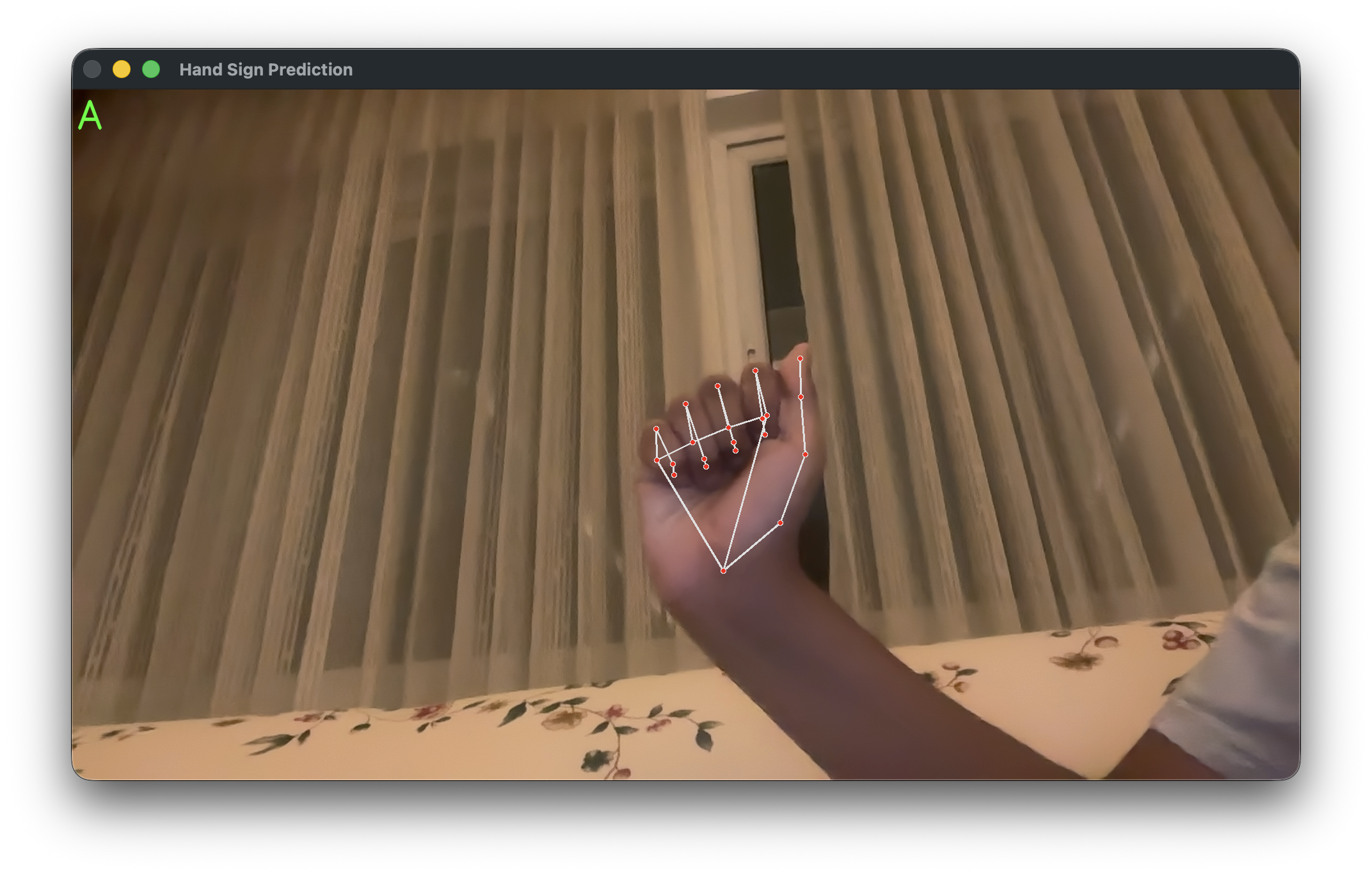Hearthstone project AI ASL detection